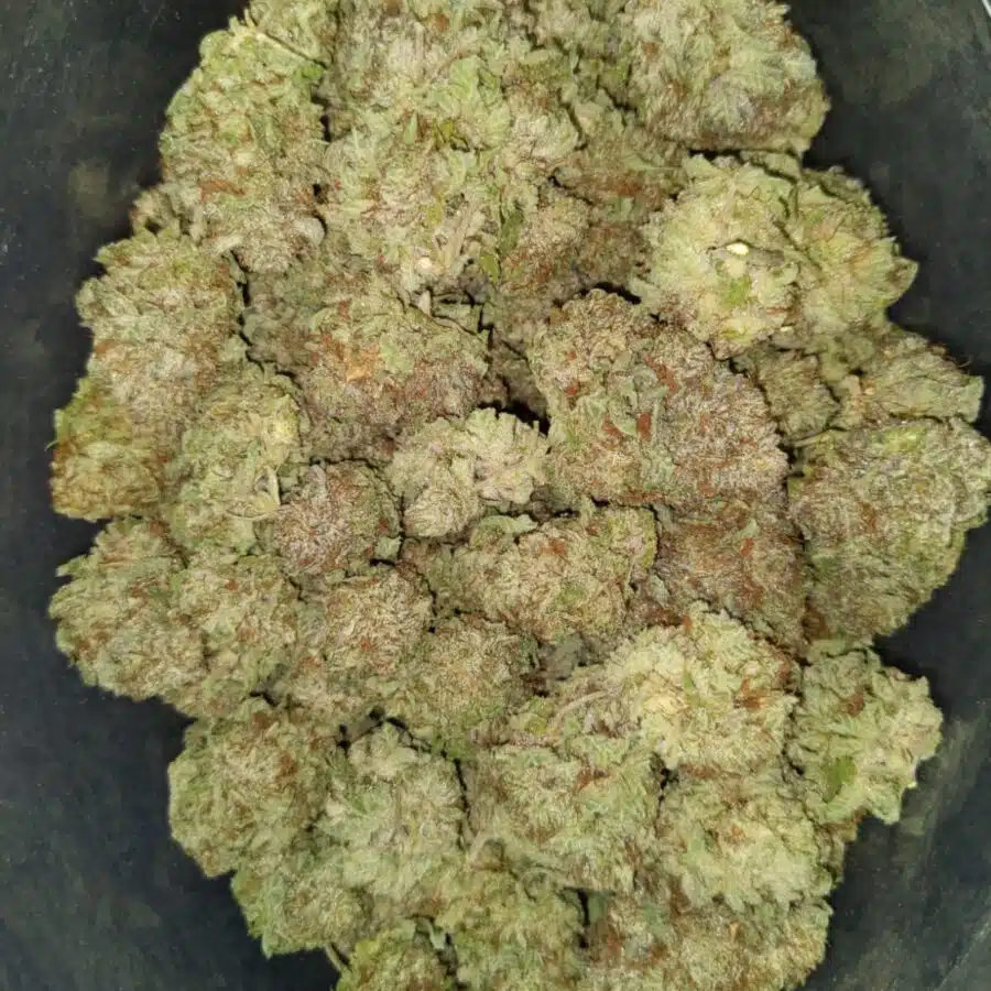 green poison 5 I $113 Oz - Green Poison