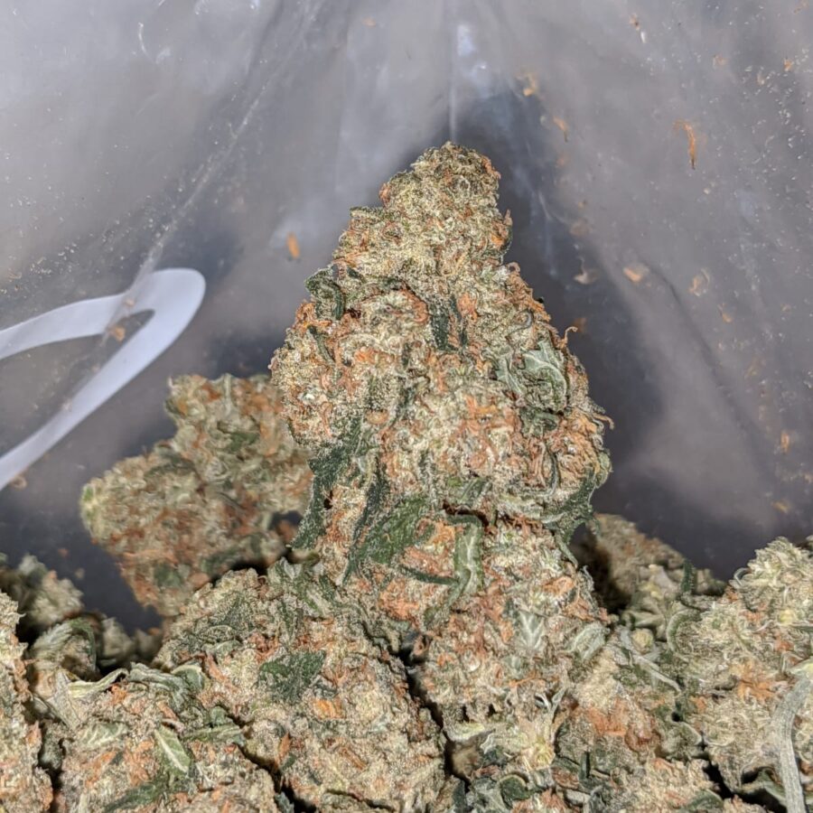 kubbie kush aa smalls 1 1 I Kubbie Kush AA+ (Smalls)