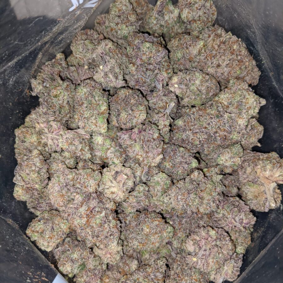 purple cotton candy 4 1 I Purple Cotton Candy