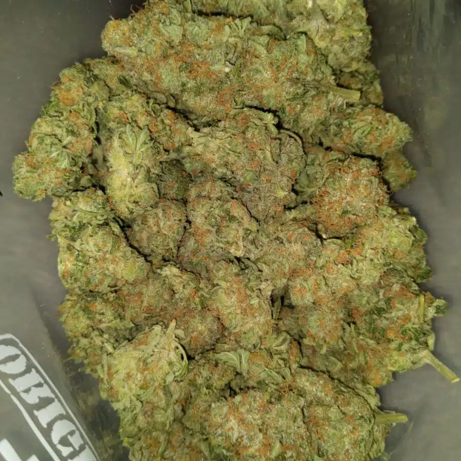 BLUEBERRY PIE 3 I $88 Oz - Blueberry Pie