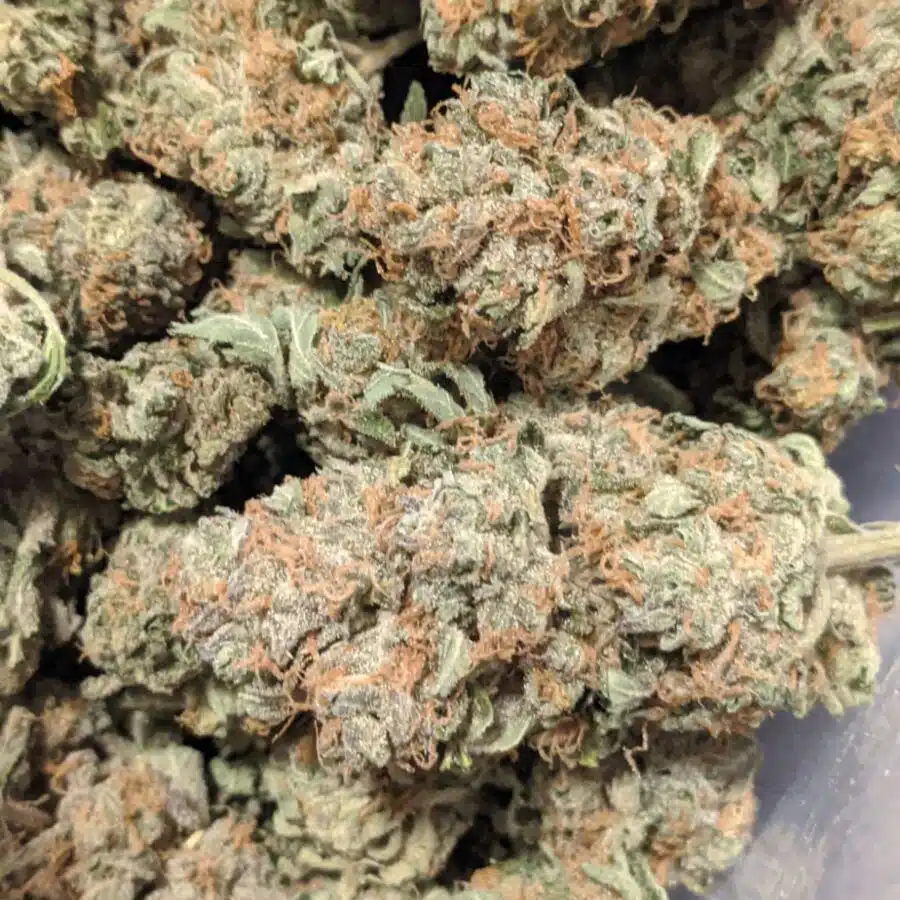 Alternative view of $88 Oz - Blueberry Pie