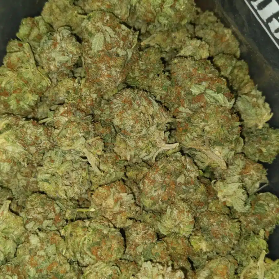 Bubba og2 I Bubba OG - *Deal of the Day*