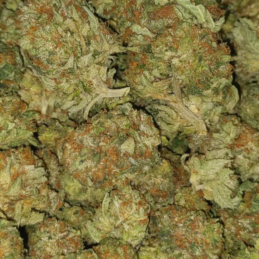 Bubba og4 I Bubba OG - *Deal of the Day*