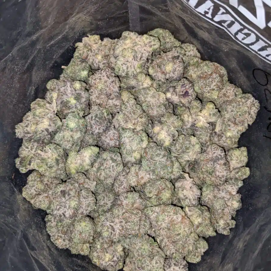 FATSO 2 I Fatso 27.32% THC
