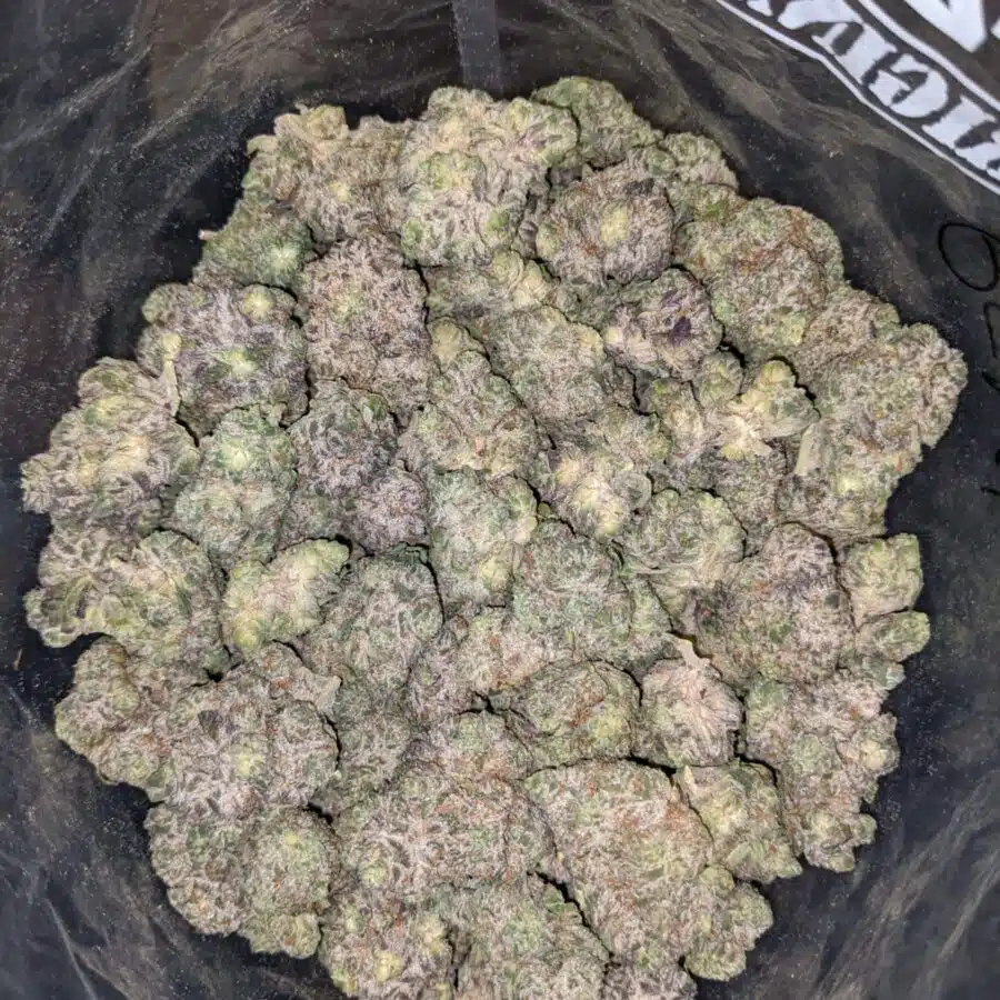 FATSO 4 I Fatso 27.32% THC