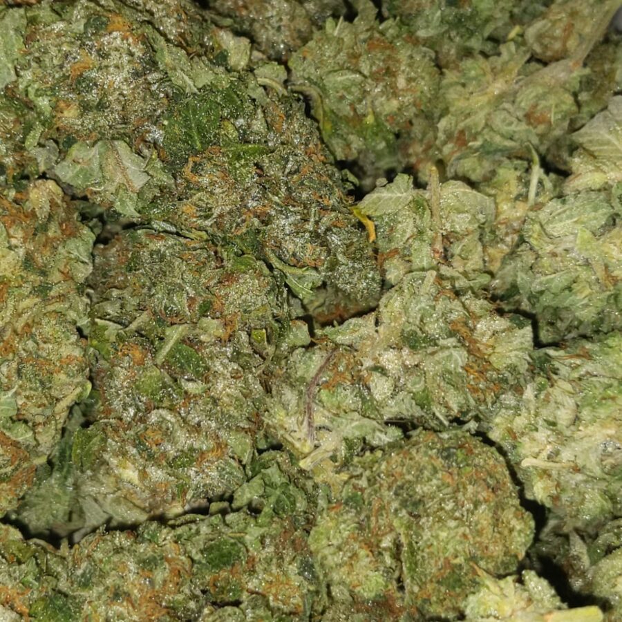 Gas mask dod I $69 Oz - Gas Mask