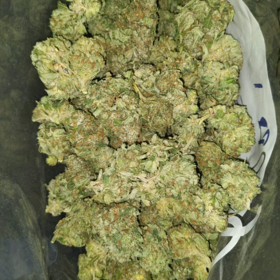Gas mask dod1 I $69 Oz - Gas Mask