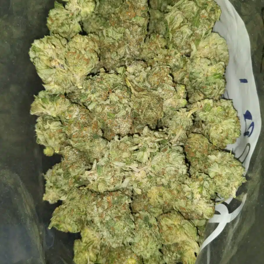 Gas mask dod1 I $69 Oz - Gas Mask