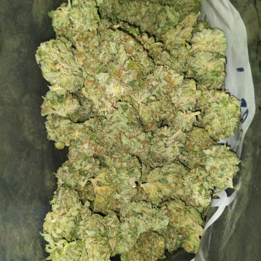 Gas mask dod2 I $69 Oz - Gas Mask