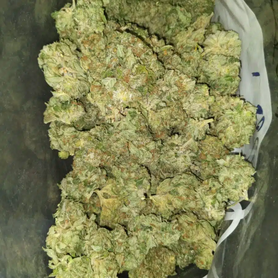 Gas mask dod2 I $69 Oz - Gas Mask