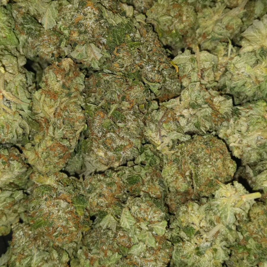 Gas mask dod3 I $69 Oz - Gas Mask