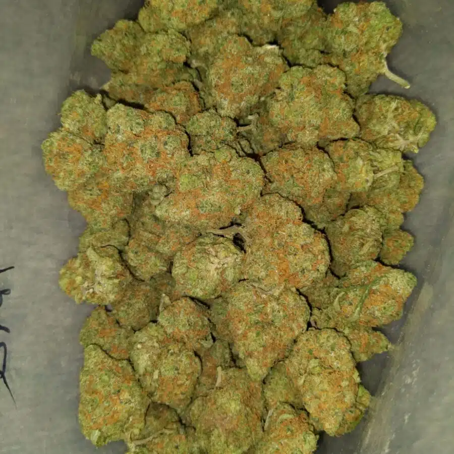 Super silver Haze3 I Super Lemonhead OG