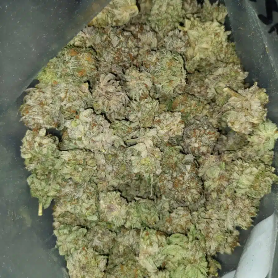 Thai haze1 I $69 Oz - Thai Haze