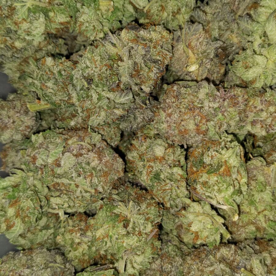 WHITE COMA 1 I White Coma