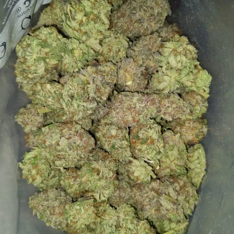 WHITE COMA 2 I White Coma