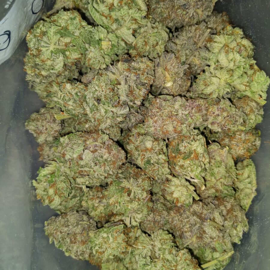 WHITE COMA 4 I White Coma