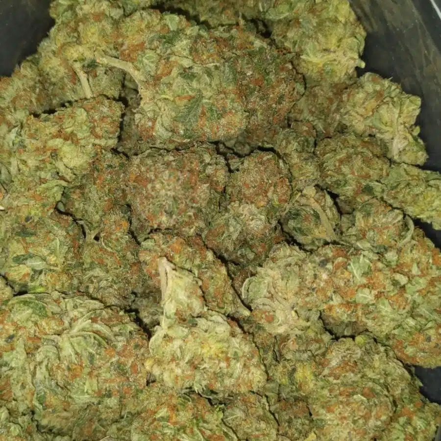 White bubba dod2 I $69 Oz - White Bubba