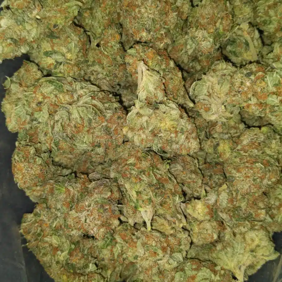 White bubba dod3 I $69 Oz - White Bubba