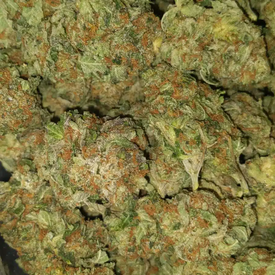 White bubba dod4 I $69 Oz - White Bubba