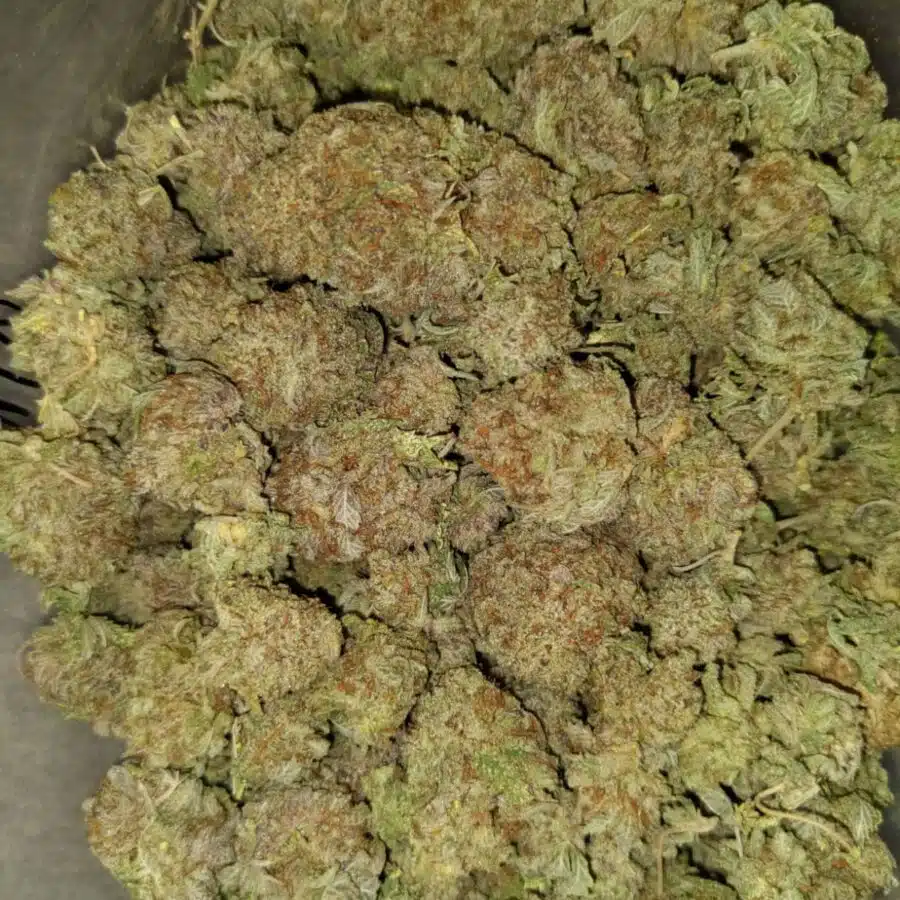 White magic dod1 I $69 Oz - White Magic