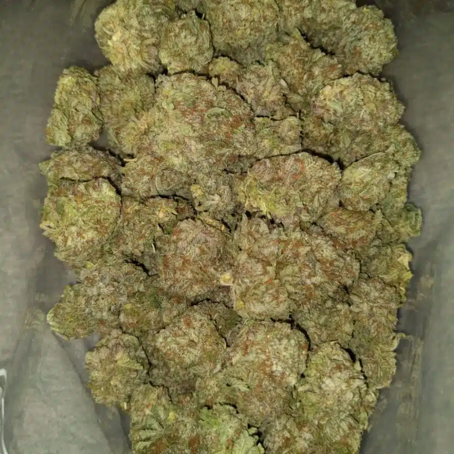 White widow1 I $79 Oz - White Widow