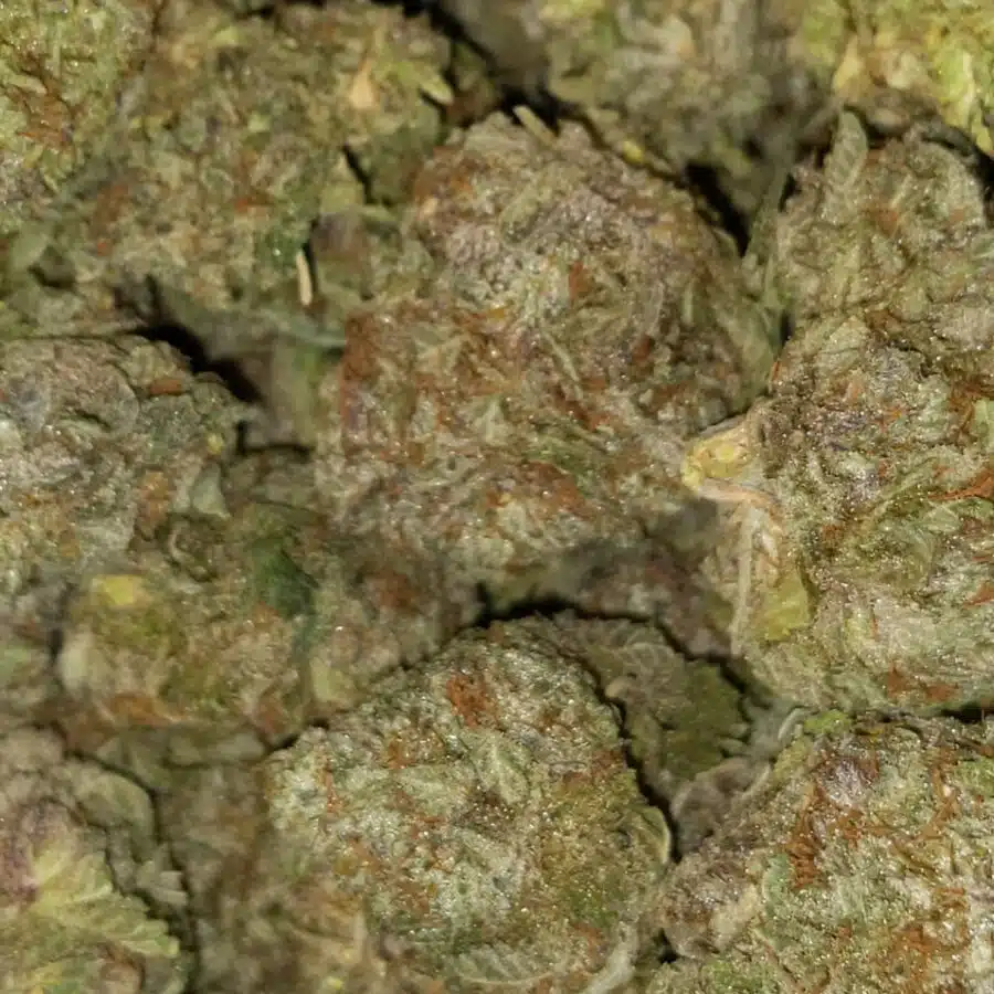 White widow3 I $79 Oz - White Widow