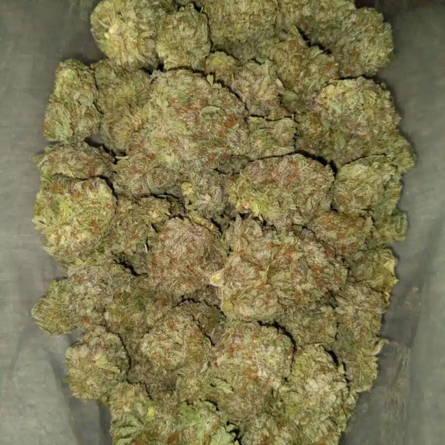 White widow4 I $79 Oz - White Widow