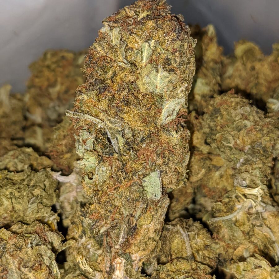 aa cheap sativa 2 I Cheap Sativa #2