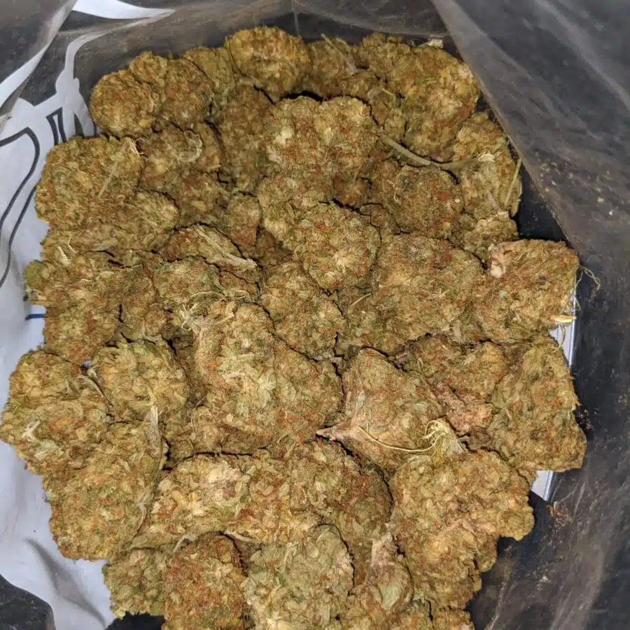 aa sour diesel 1 I AA+ Sour Diesel