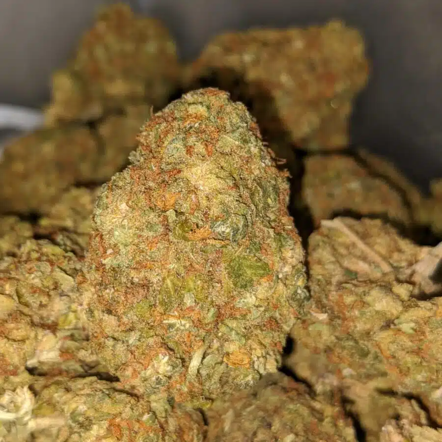 aa sour diesel 3 I AA+ Sour Diesel