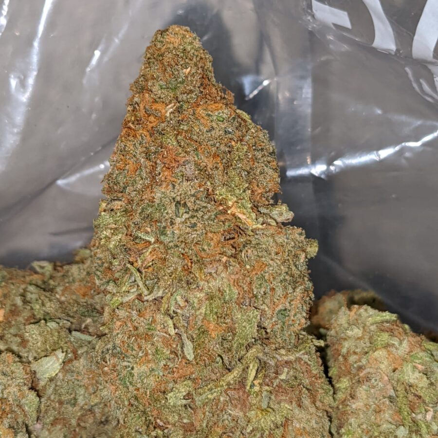animal cookies 1 1 I Animal Cookies