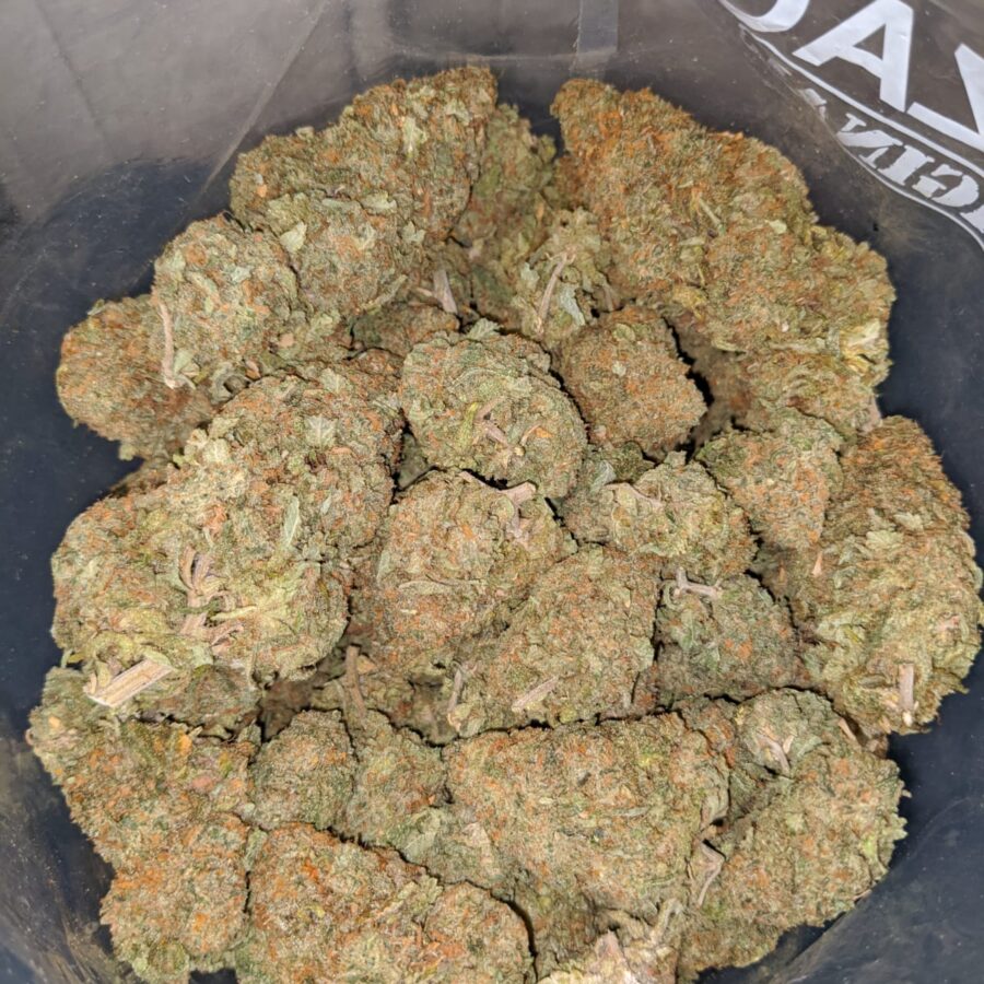 animal cookies 3 1 I Animal Cookies