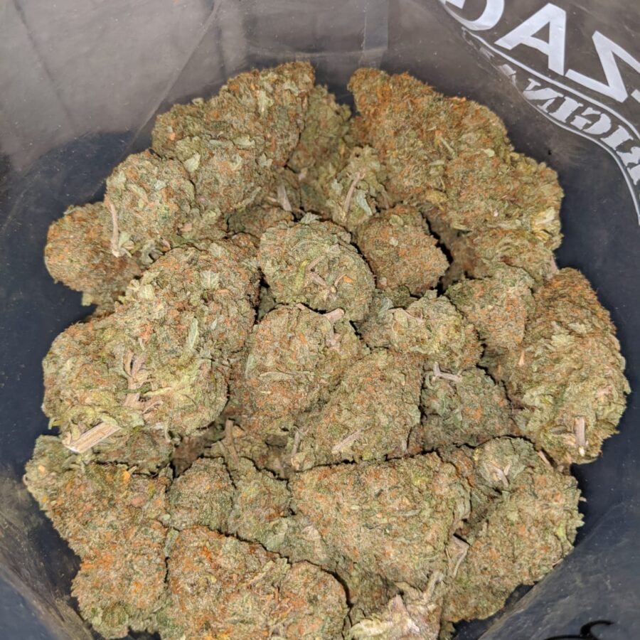animal cookies 4 1 I Animal Cookies