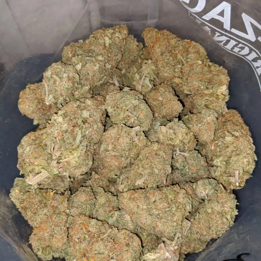 animal cookies 4 1 I Animal Cookies
