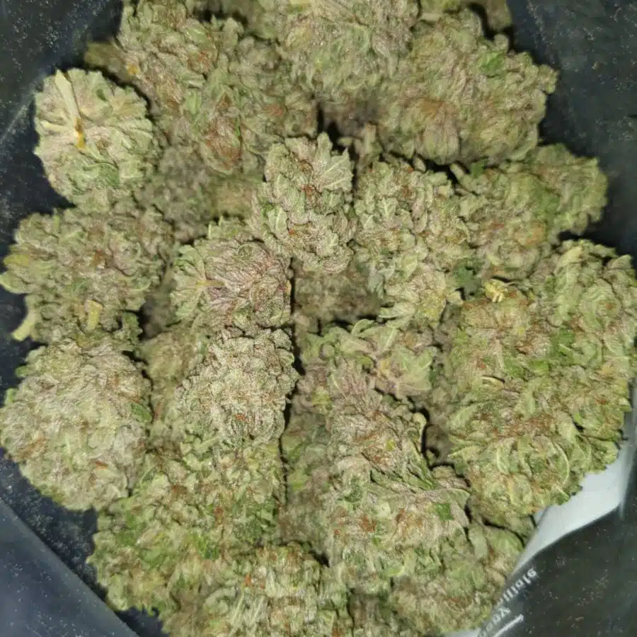 black cherry soda 1 I $79 Oz - Black Cherry Soda