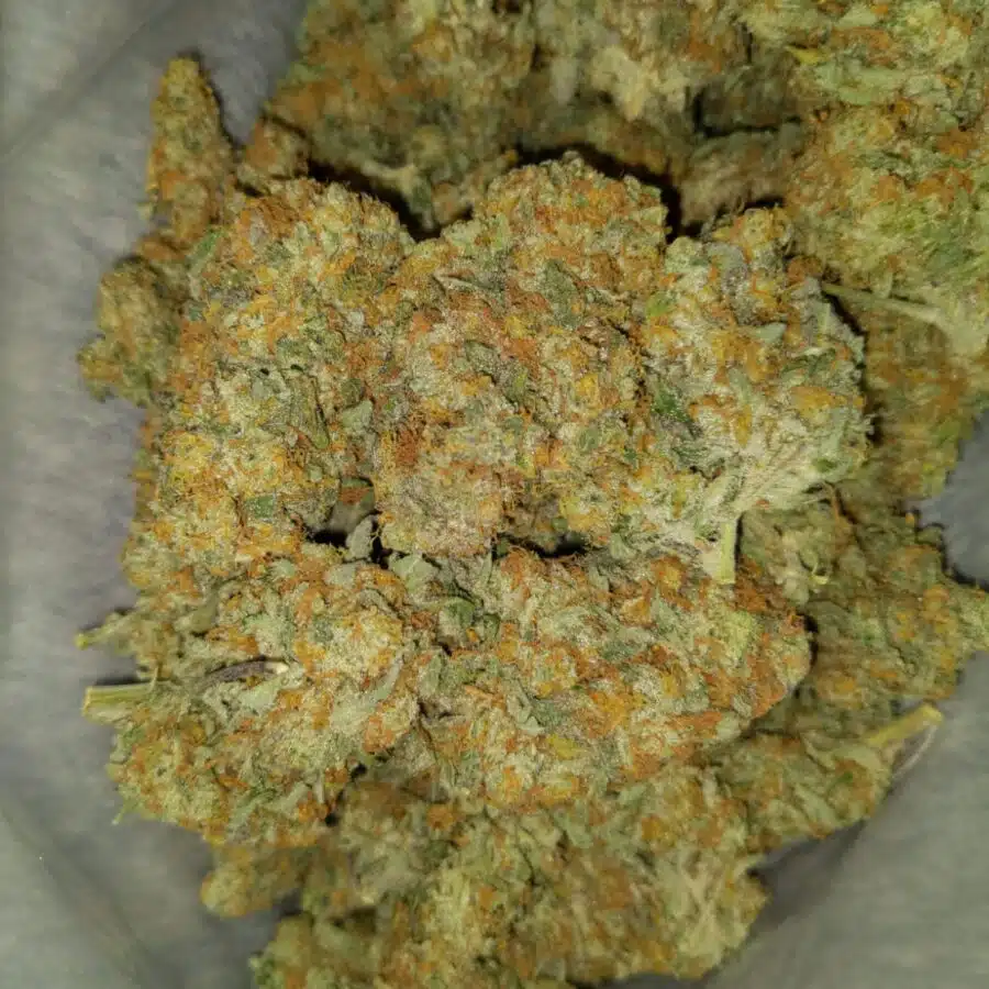 Alternative view of $99 Oz - Caramel Cookies