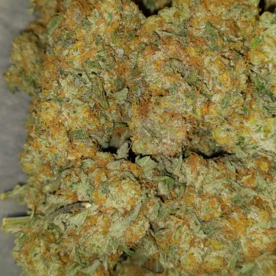 caramel cookies 2 1 I $99 Oz - Caramel Cookies