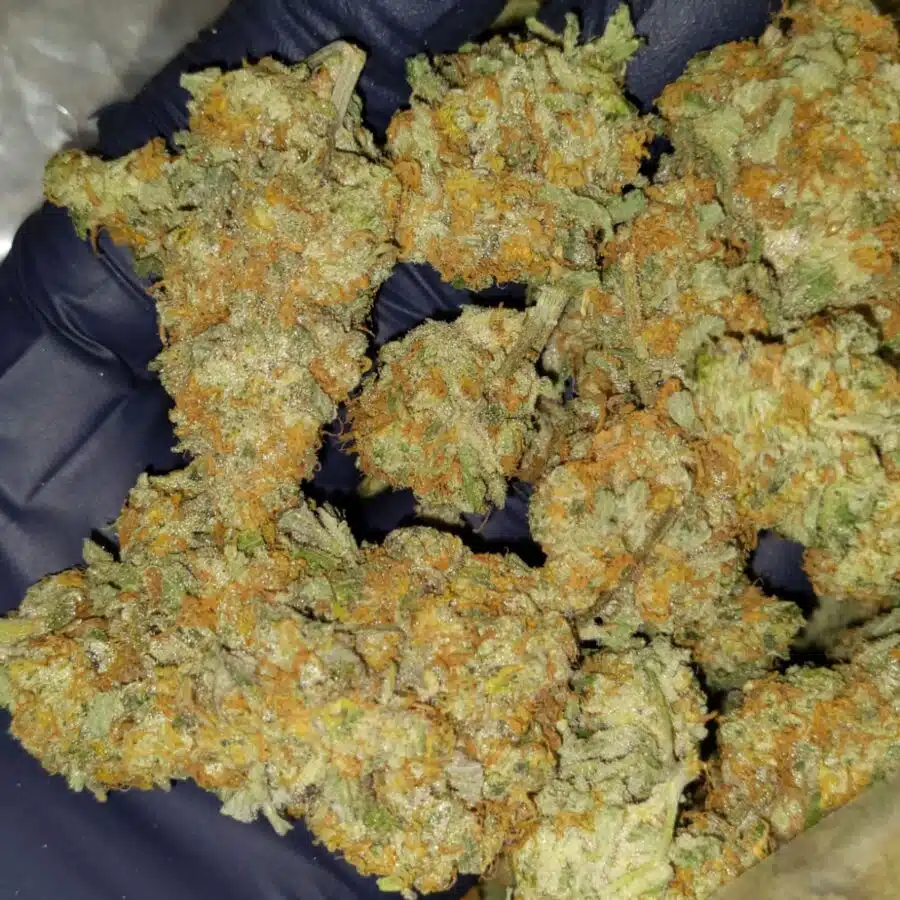 caramel cookies 3 1 I $99 Oz - Caramel Cookies