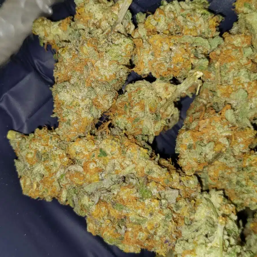 caramel cookies 4 1 I $99 Oz - Caramel Cookies