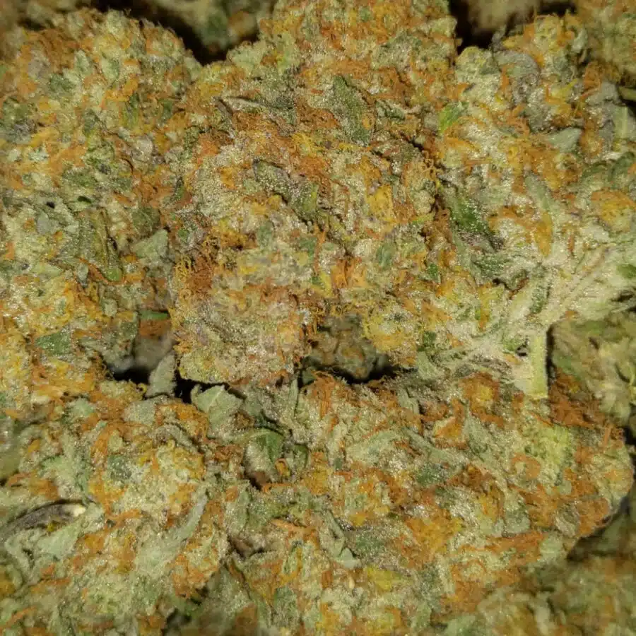 caramel cookies 5 1 I $99 Oz - Caramel Cookies