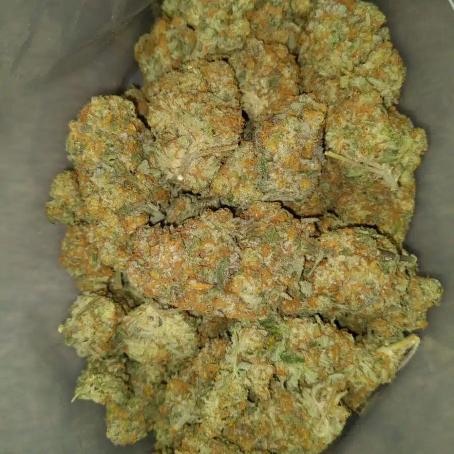 caramel cookies 6 I $99 Oz - Caramel Cookies