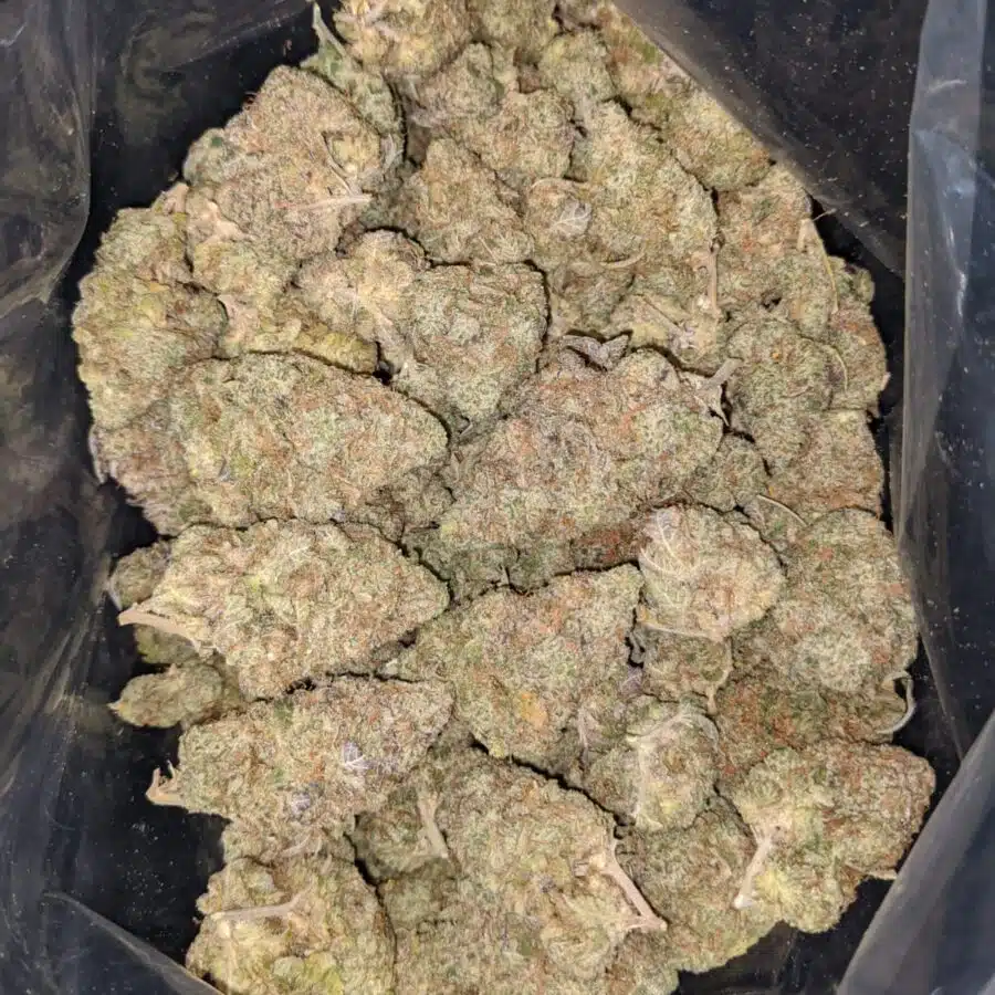 dosi og dod 1 I Dosi OG - *Deal Of The Day*