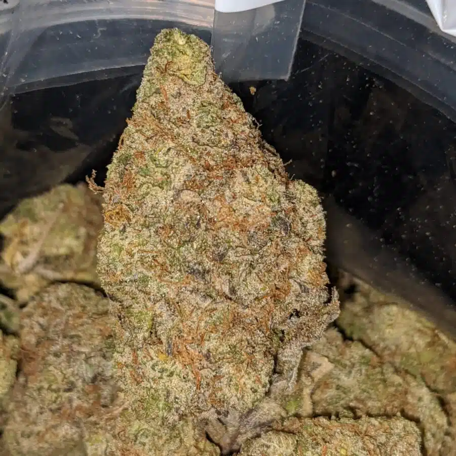 dosi og dod 2 I Dosi OG - *Deal Of The Day*