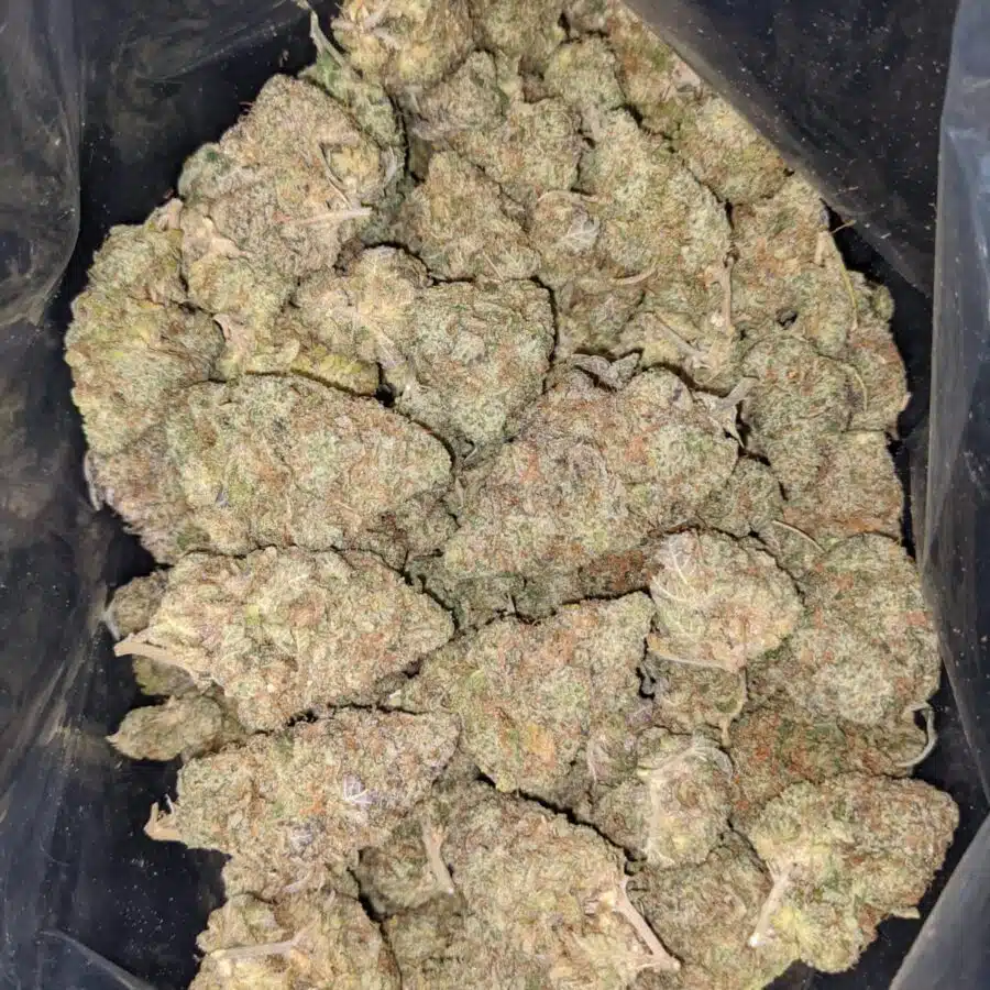dosi og dod 3 I Dosi OG - *Deal Of The Day*