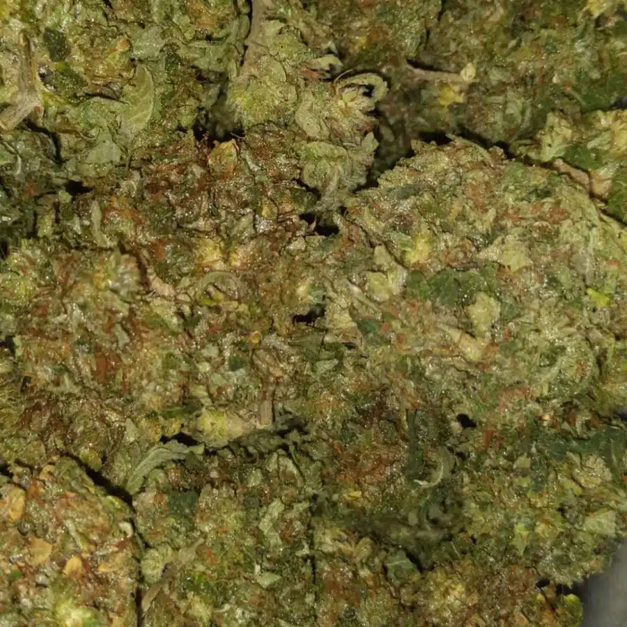 el jefe dod 3 I $69 Oz - El Jefe