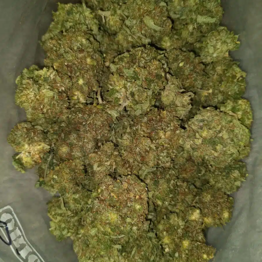 el jefe dod 4 I $69 Oz - El Jefe
