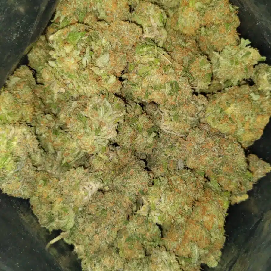 fruit punch aaa 2 I $89 Oz - Fruit Punch