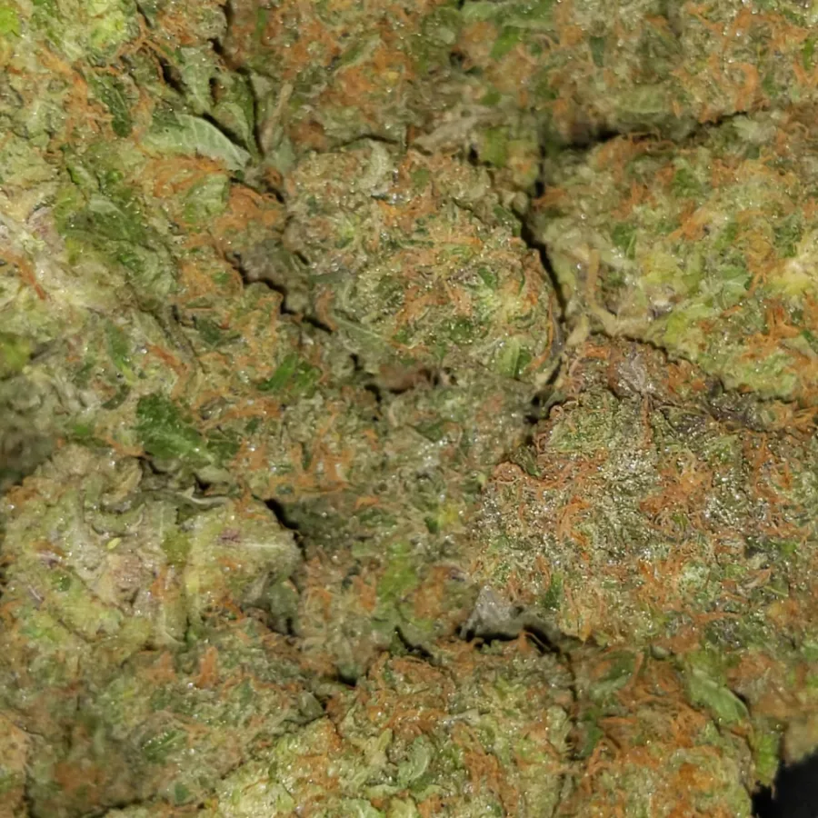 fruit punch aaa 3 I $89 Oz - Fruit Punch