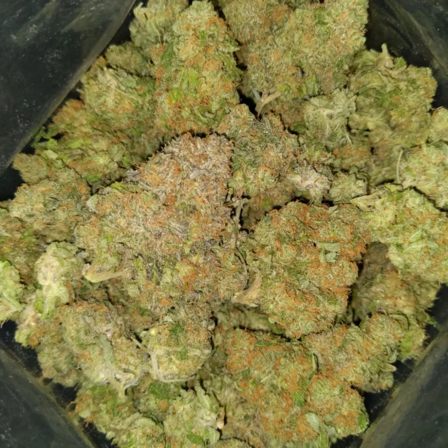 fruit punch aaa 4 I $89 Oz - Fruit Punch
