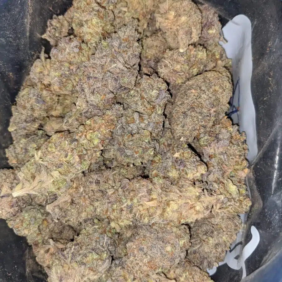 gorilla grape 3 I Gorilla Grape